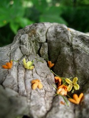 IMG_3490_副本1.jpg
