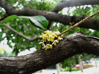 IMG_3698_副本.jpg