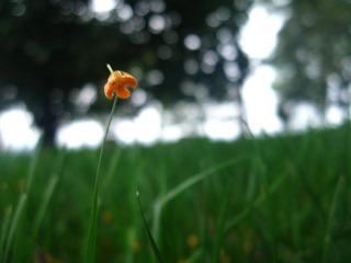 IMG_3424.JPG