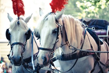 IMG_9309-Edit.jpg