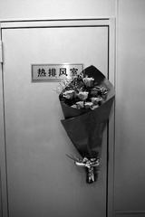 R172-20-20101009.jpg