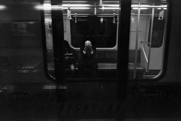 R181-04-20101123.jpg