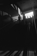 R244-05-20110621.jpg