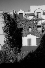 R298-15-20111014.jpg