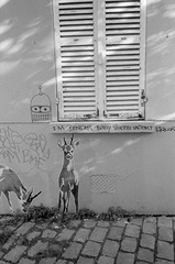 R298-17-20111014.jpg