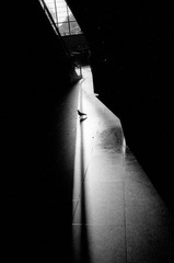 R315-05-20111022.jpg