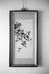 700-R355-11-20120621.jpg