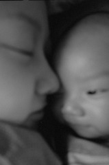 R366-07-20121210.jpg