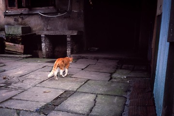 R054-Scan-091013-0023
