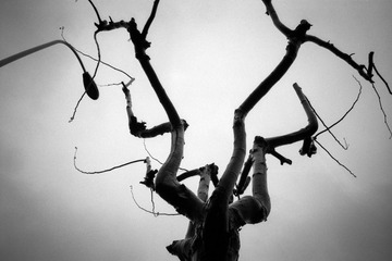 R093-Scan-100327-0030