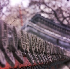 659F6FFC-6B15-4805-81CE-FB3D2098CA22/L0/001