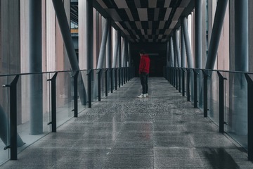 241803