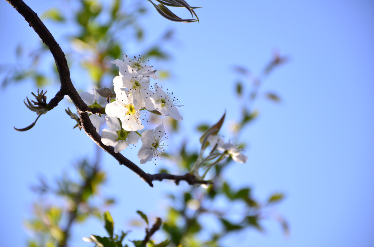 看过的风景,最后都变成了你的模样