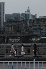 288563
