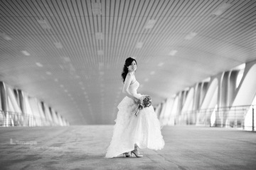 _DSC53523