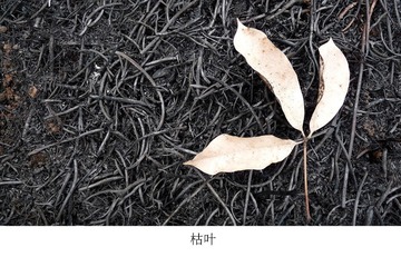 P1410692（1）.jpg