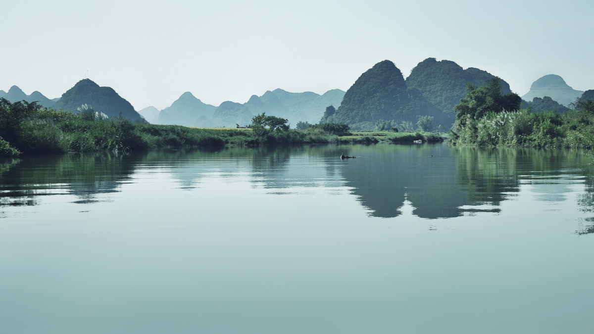 春风又绿江南岸