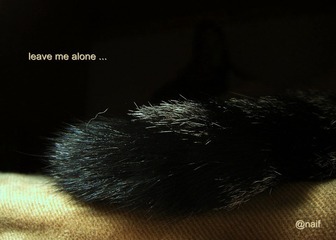 leave me alone.jpg