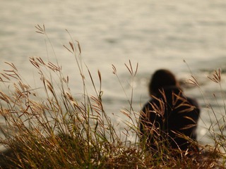 cPC120933.JPG