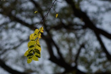 DSC01001.JPG