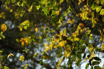 DSC01035.JPG