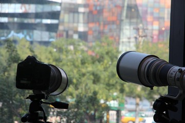 IMG_9986.JPG