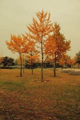 IMG_7480.JPG