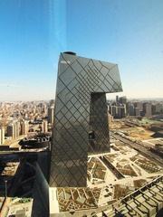 IMG_981443.jpg