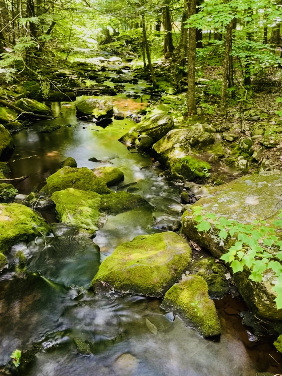 潺潺溪流蜿蜒流淌