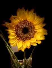 7C767057-C122-4DED-9937-507AE53CE737/L0/001