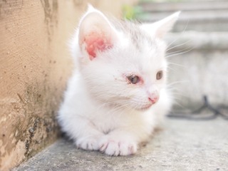958