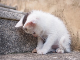 959