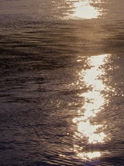 8F0C6758-19ED-412E-AB3B-F713E0C60988/L0/001