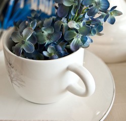 20111126-IMG_9535.jpg