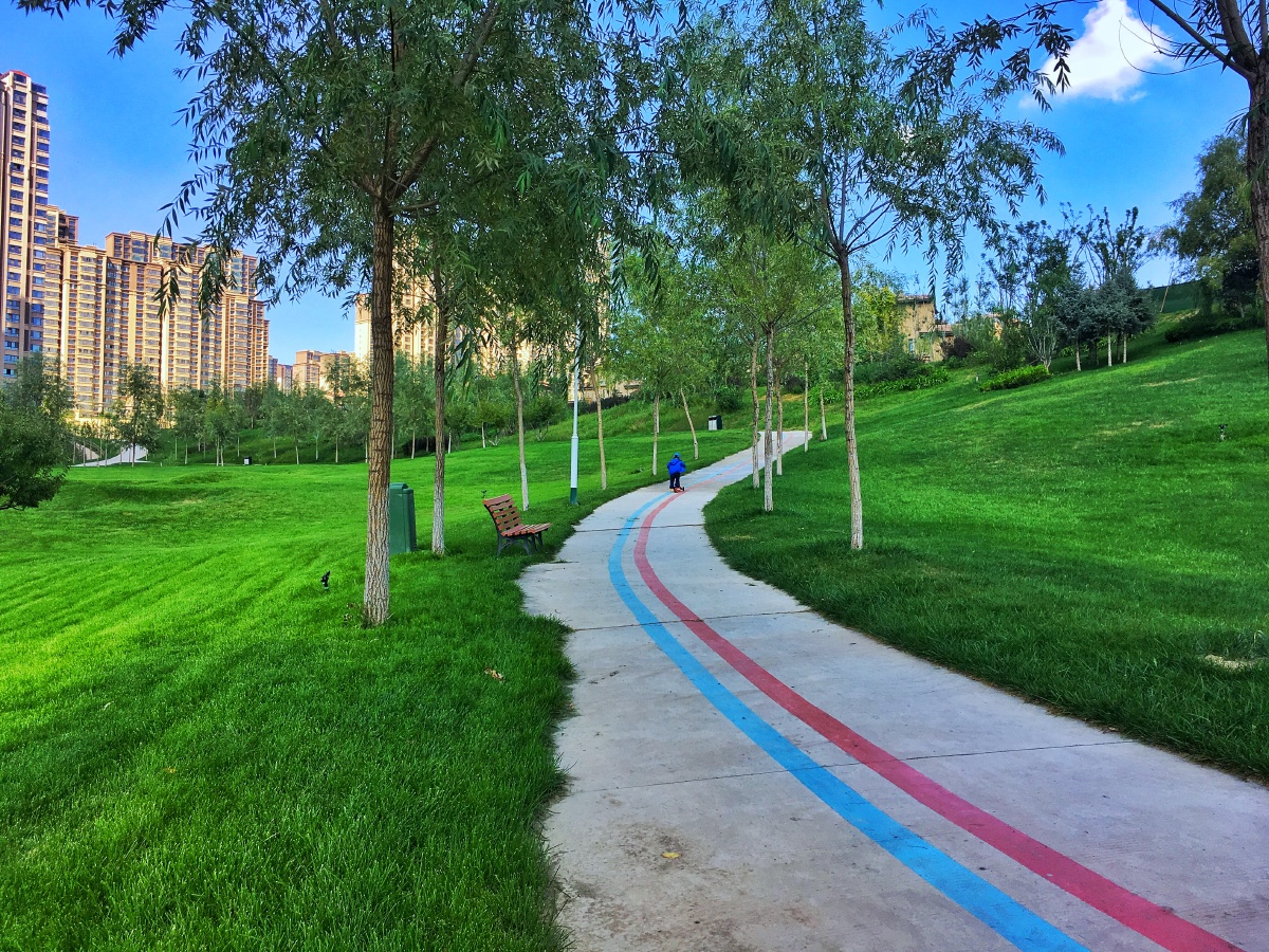 兰州碧桂园一整片草坪很像新西兰霍比屯