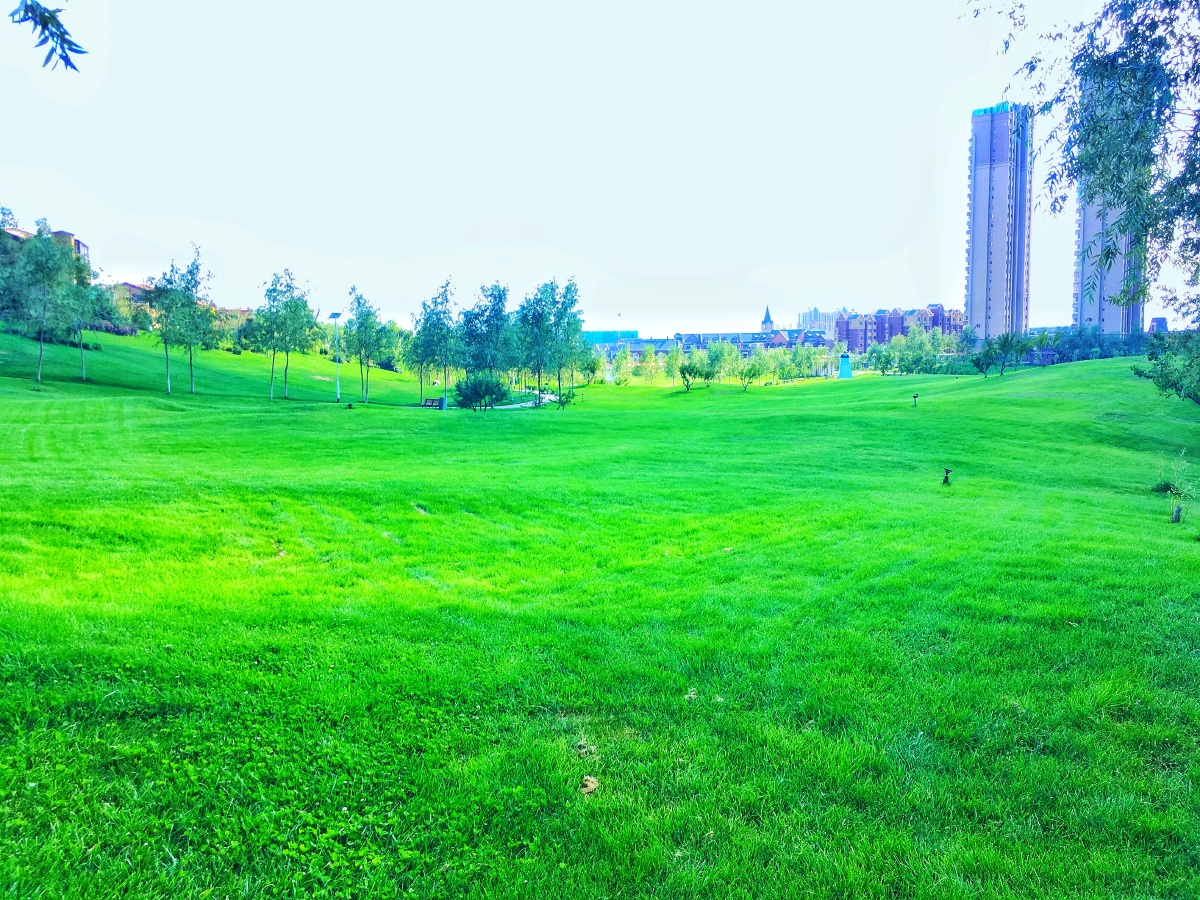 兰州碧桂园最美草坪