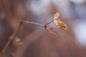 558991