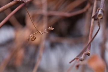 558973