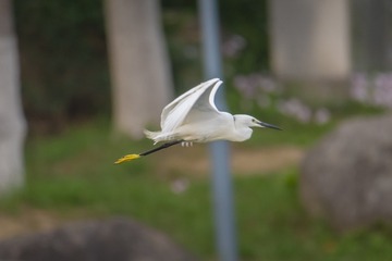 2725193