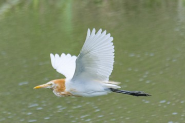 1721721