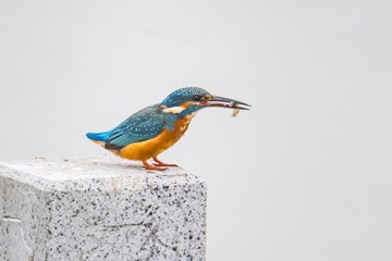 2001584