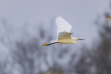 2105262
