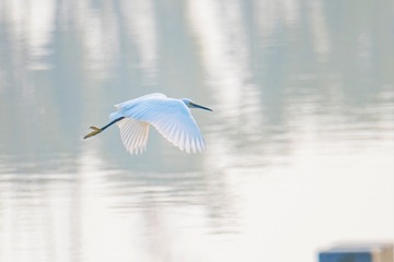 2102604