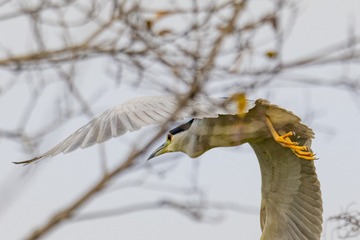 2102579