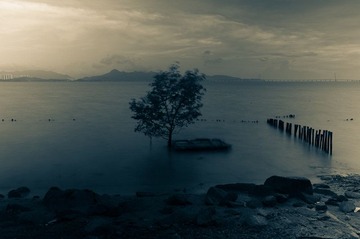 20120514-31.jpg