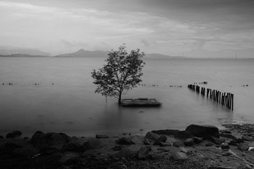 20120514-33-2.jpg