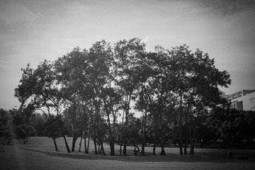20120514-12.jpg