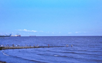 IMGP9877.jpg