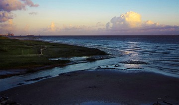 IMGP9934.jpg