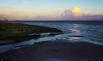 IMGP9934-1.jpg